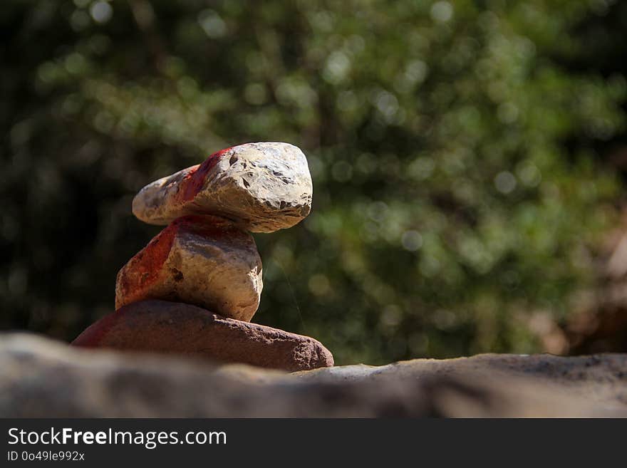 Rock, Reptile, Scaled Reptile