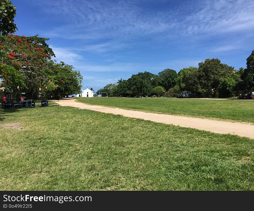 Sky, Lawn, Grass, Grassland