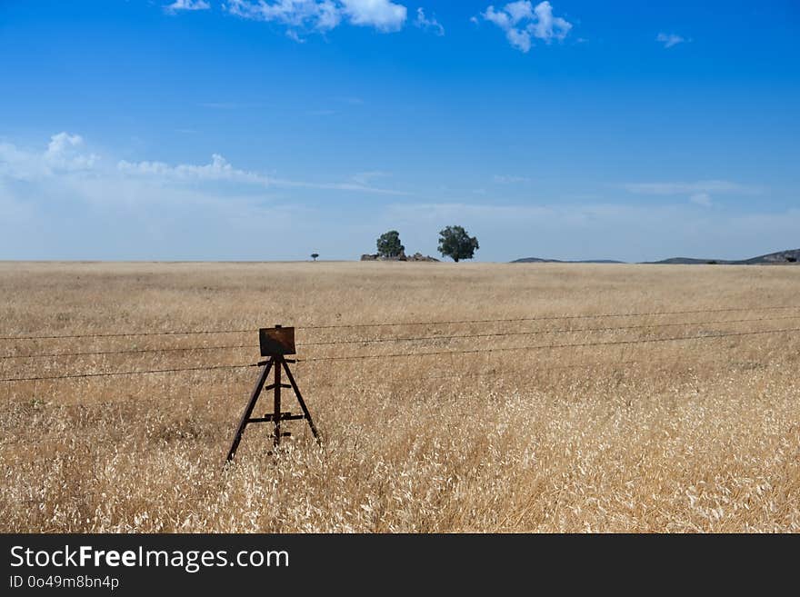 Grassland, Prairie, Ecosystem, Sky