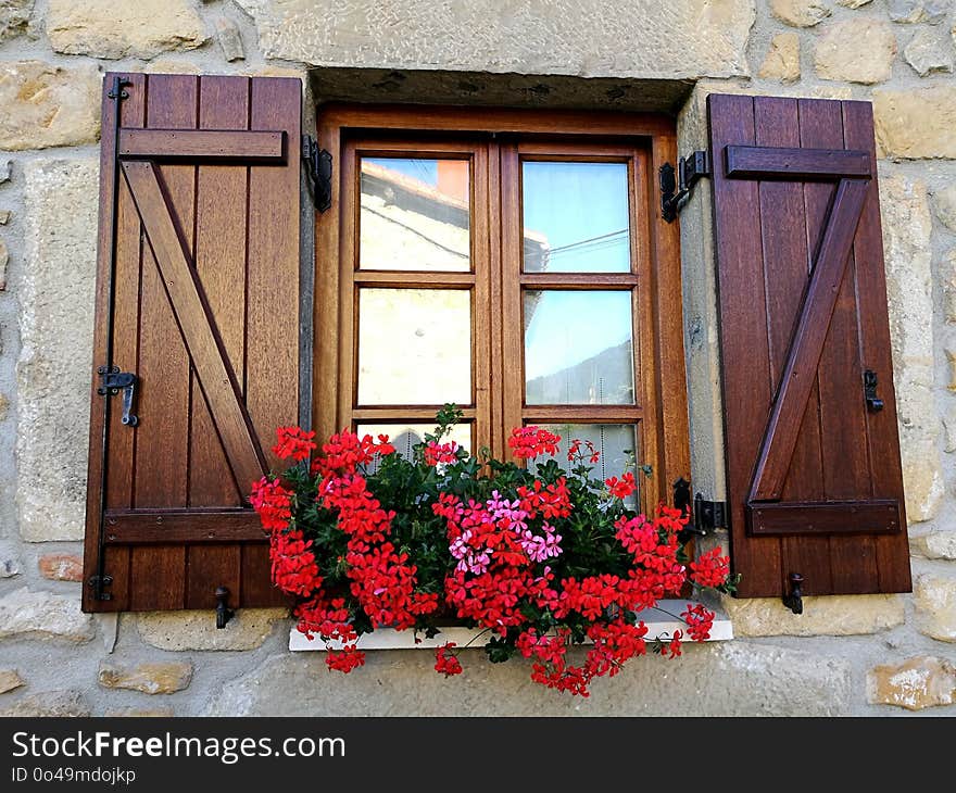 Flower, Window, House, Home