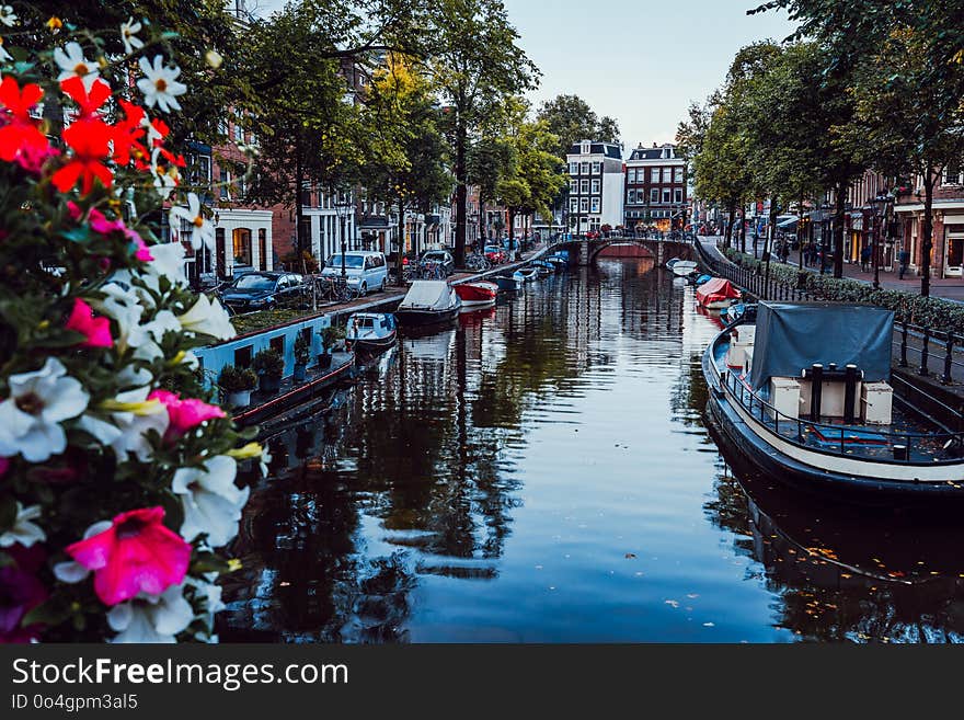 Bright Flowers On A Bridge Over A Beautiful Tree-lined Canal In The Centre Of Amsterdam, Netherlands