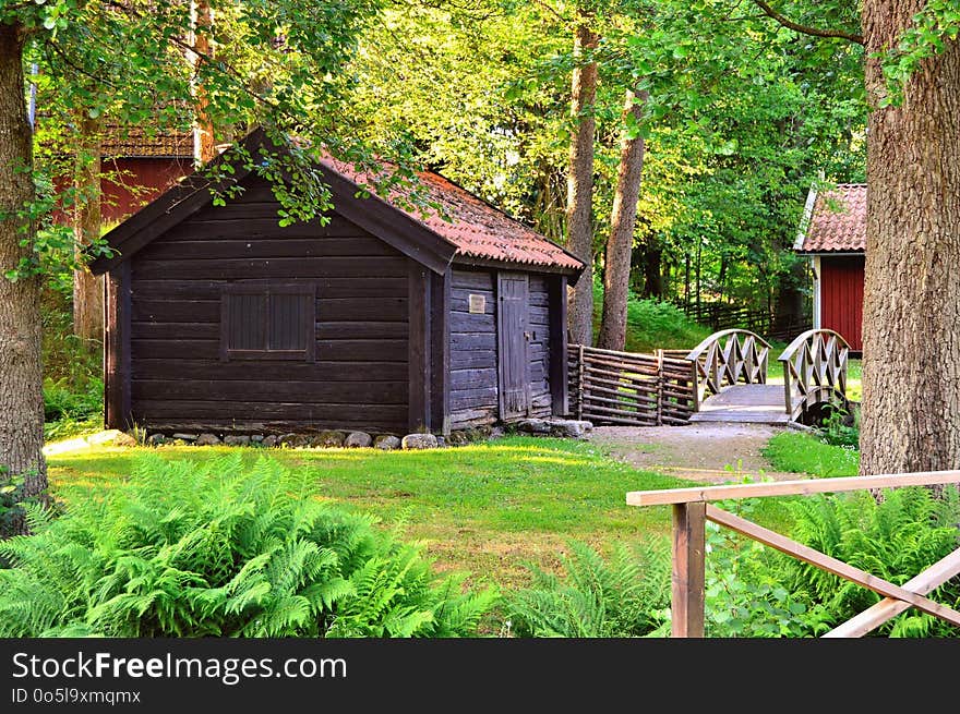 Nature, Tree, Cottage, Plant