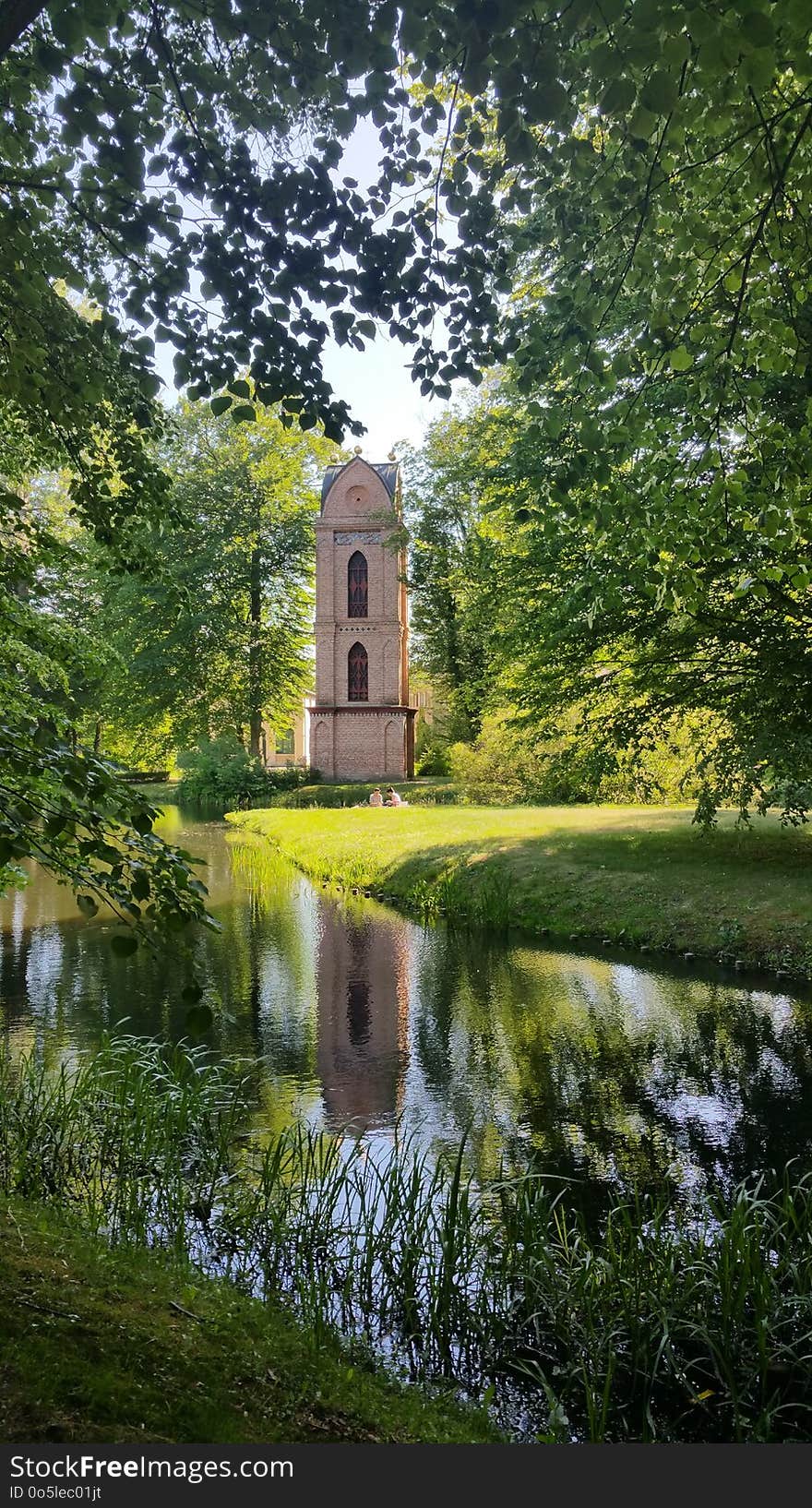 Reflection, Nature, Water, Green