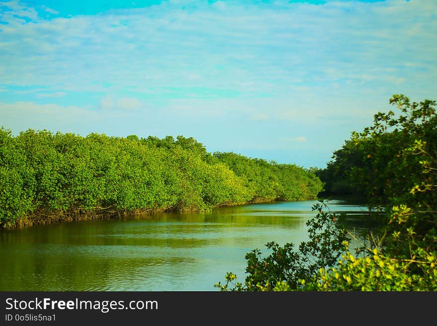 Nature, Sky, River, Vegetation