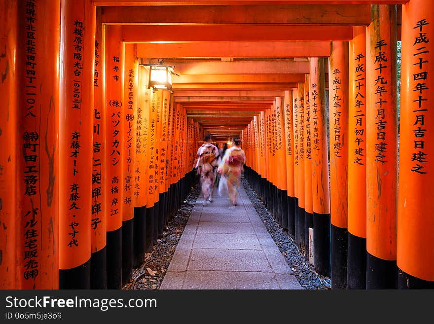 Kyoto, Japan - Nov 11 2017 : Woman dressed kimono walking in red ancient wood torii gate at Fushimi Inari