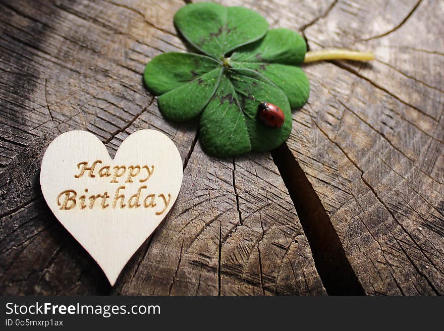 The picture shows a wooden heart with happy birthday greetings and lucky clover with a ladybird.