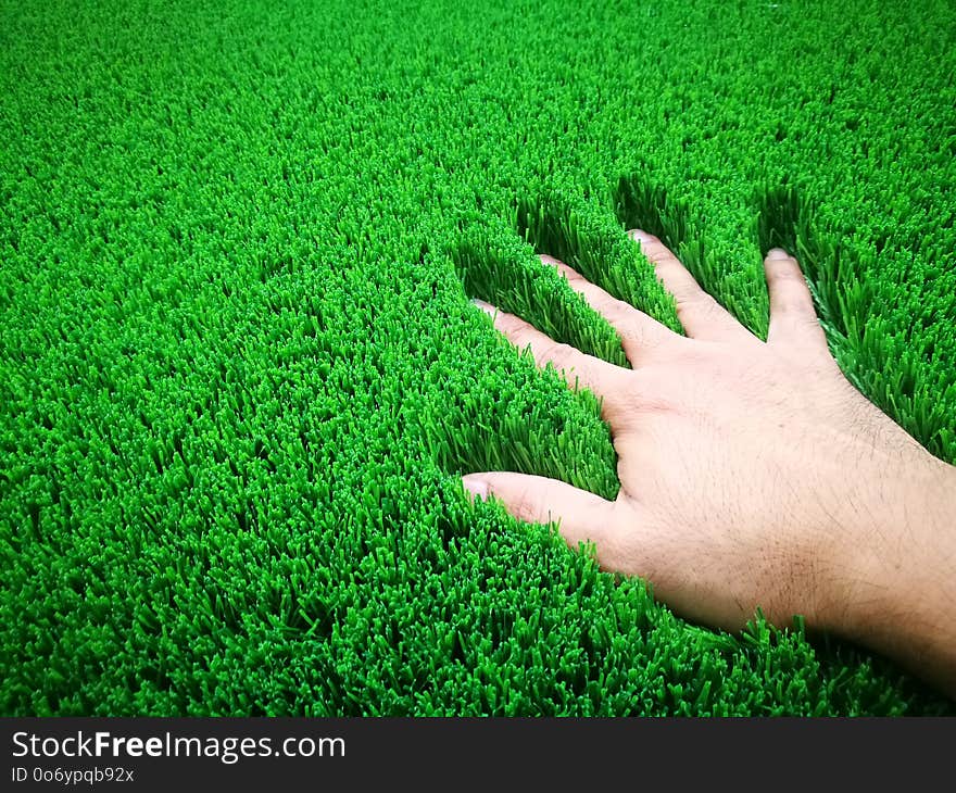 Hand placed on green artificial grass.