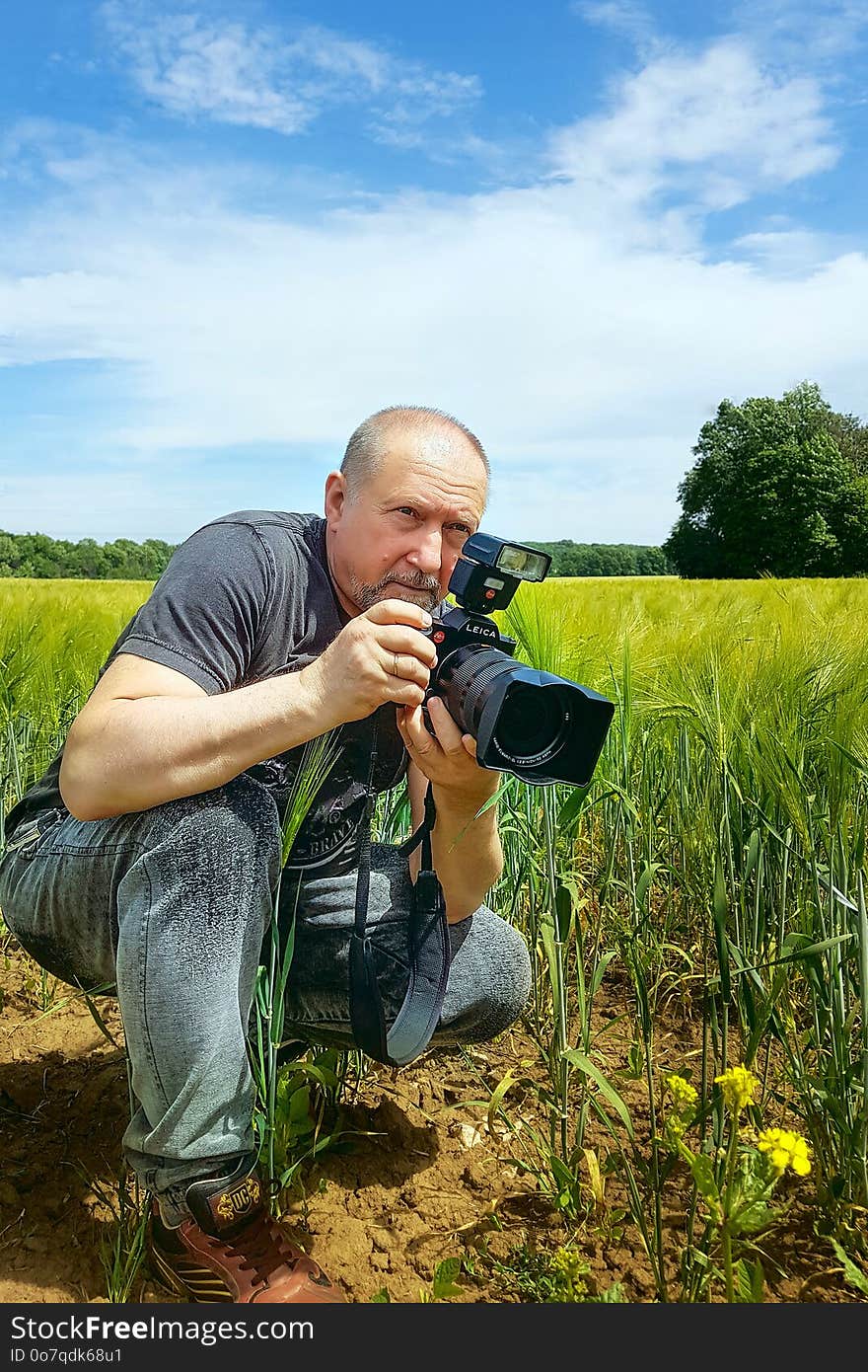 Plant, Field, Grass, Grassland