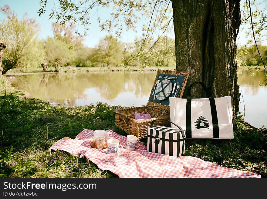 Water, Picnic, Tree, Recreation