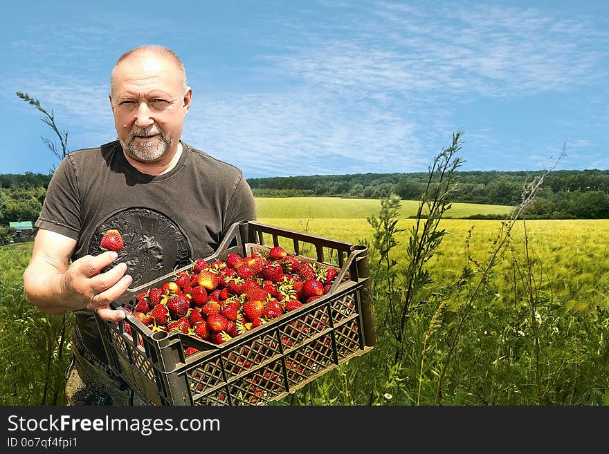 Plant, Farm, Agriculture, Field