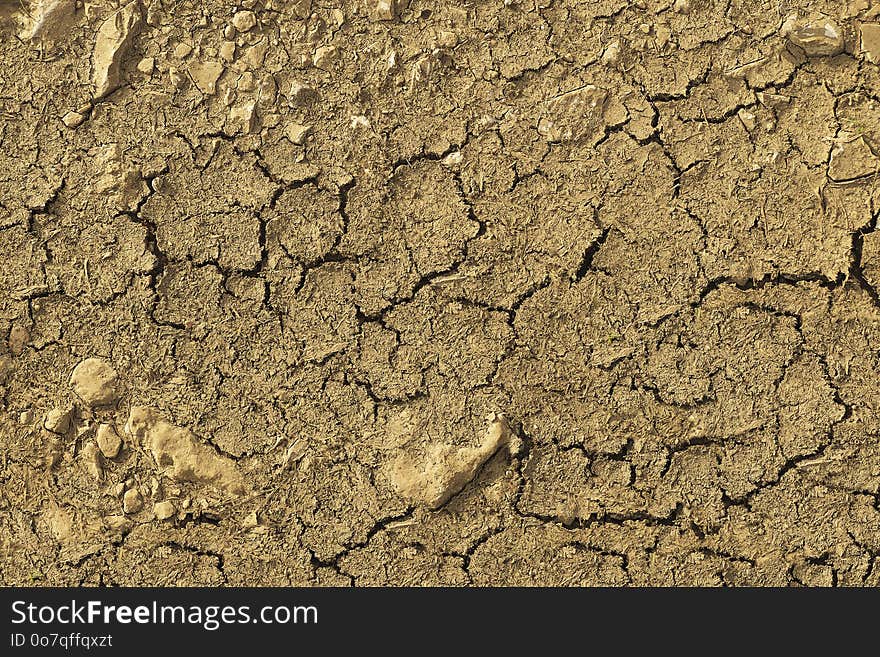 Soil, Drought, Tree, Geology