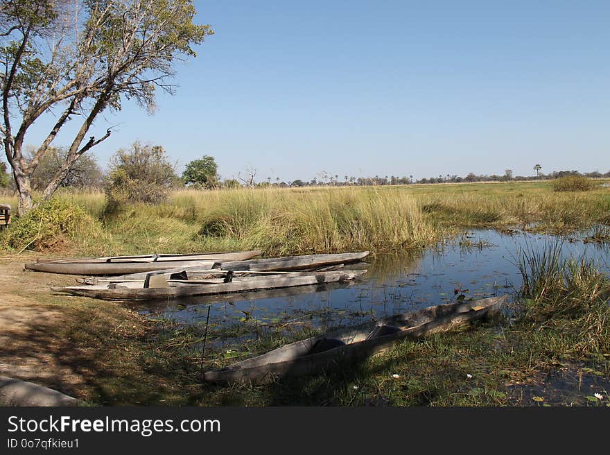 Waterway, Wetland, Ecosystem, Nature Reserve