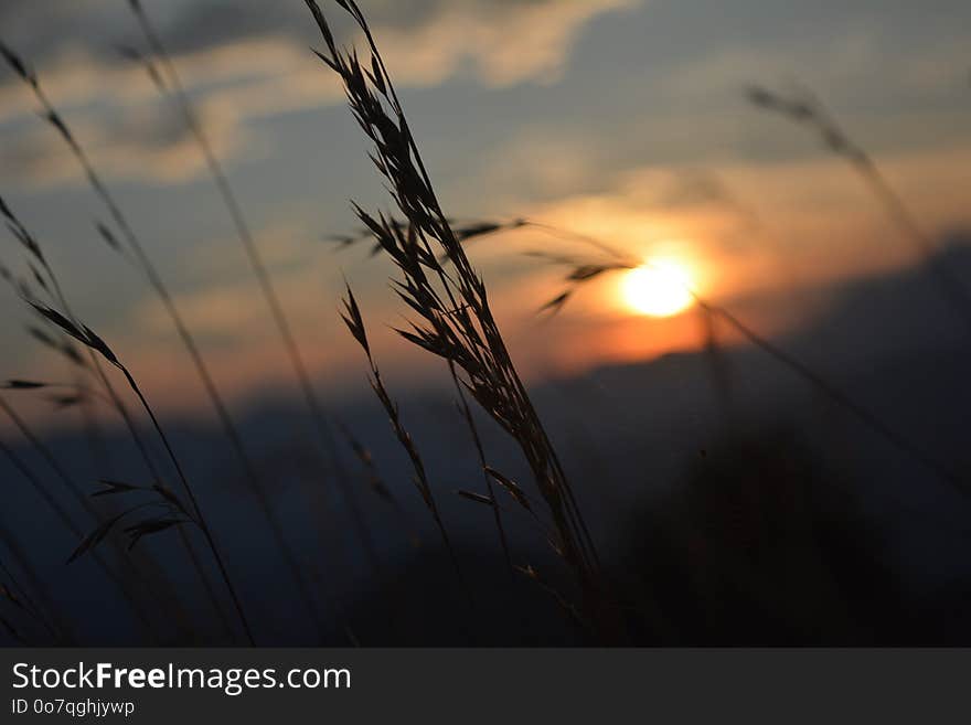 Sky, Sun, Atmosphere, Morning