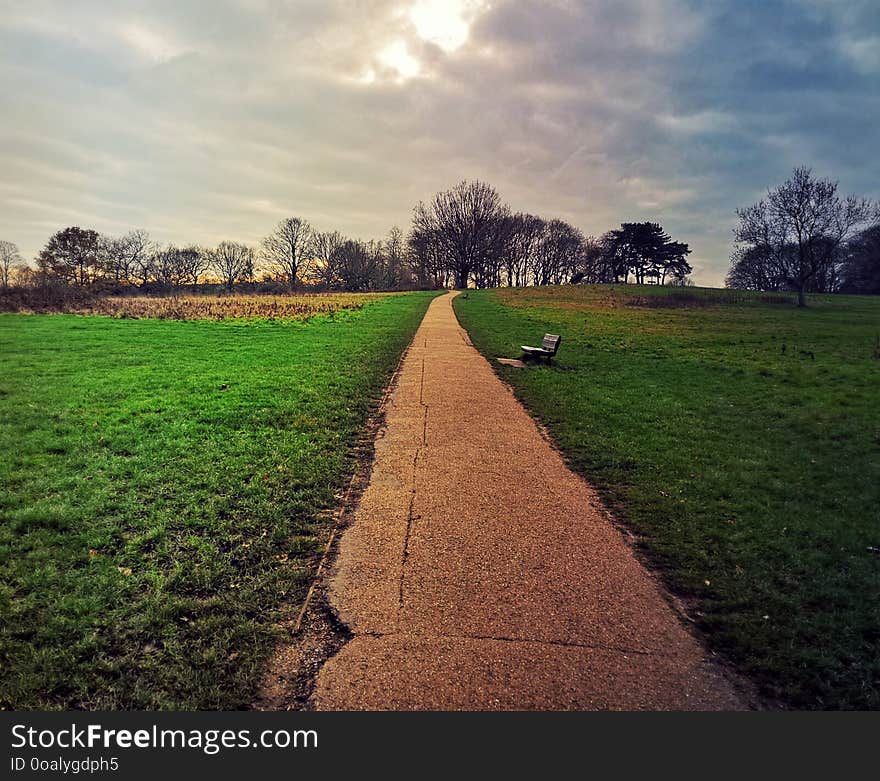 Outdoor park pathway