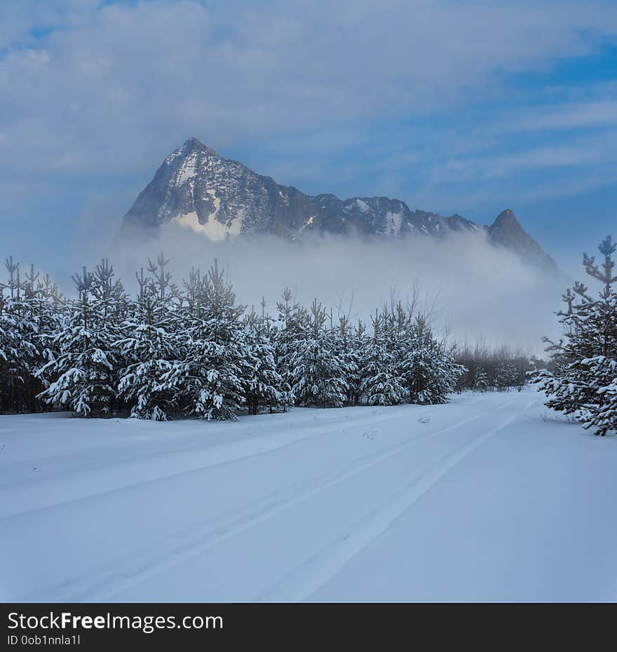 Winter forest in a snow and mountain ridge beyond, misty natural landscape