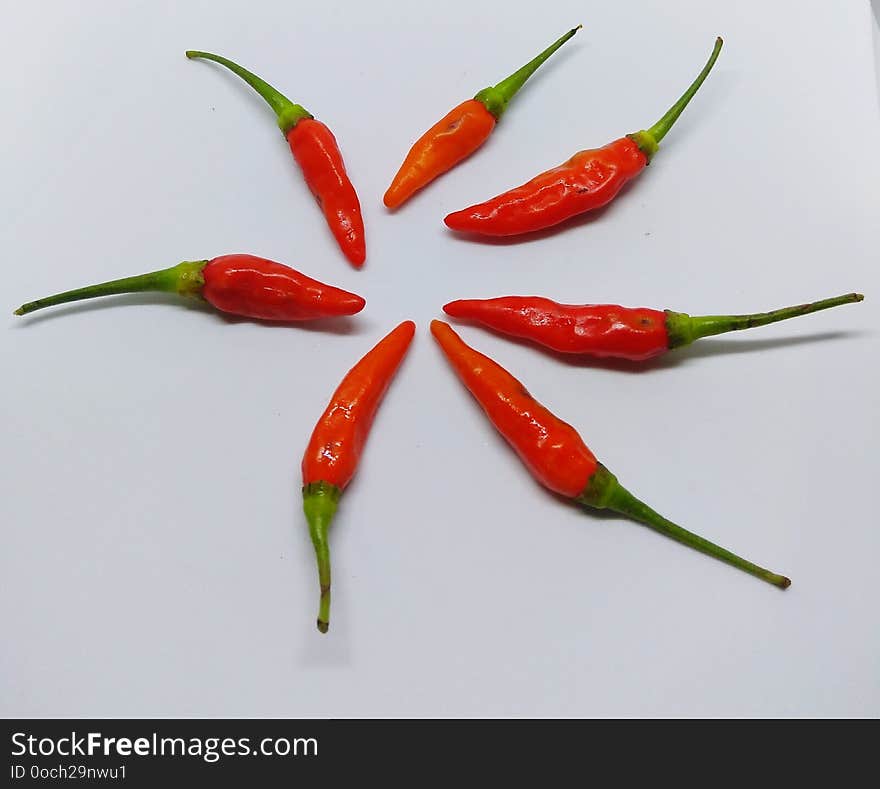 Red hot chili on white background