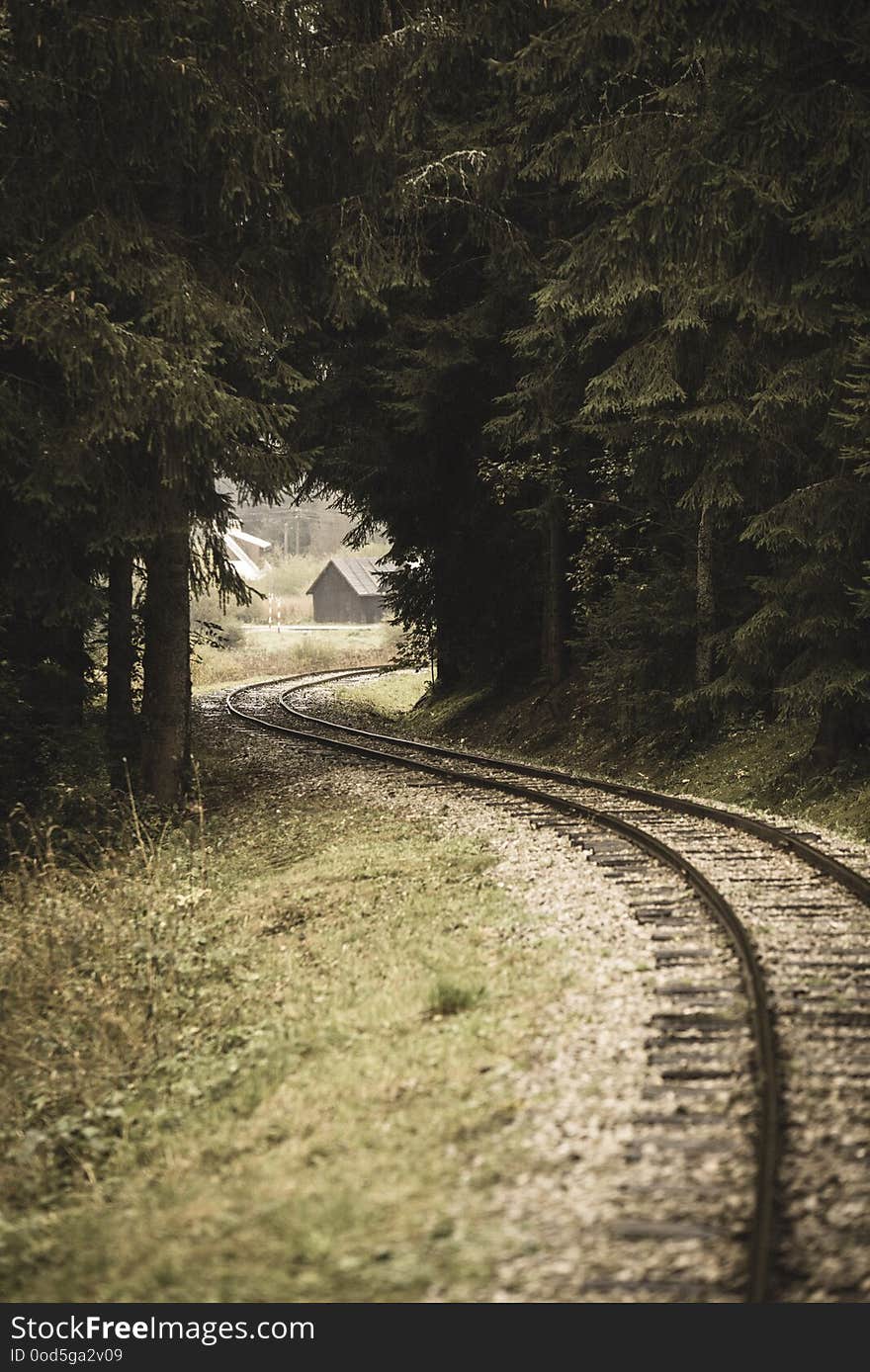 wavy log railway tracks in wet green forest with fresh meadows - vintage retro look