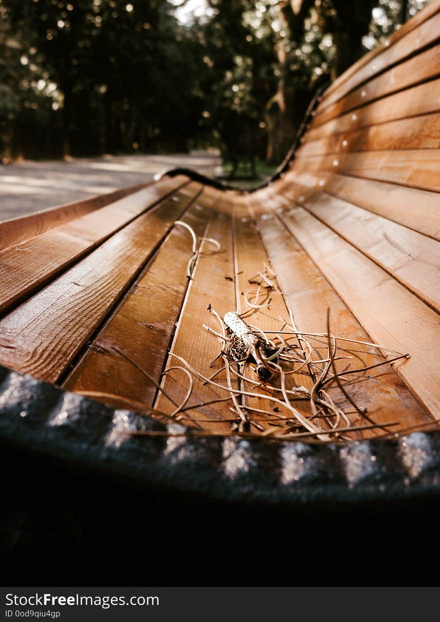 Closeup of the autumn bench in park