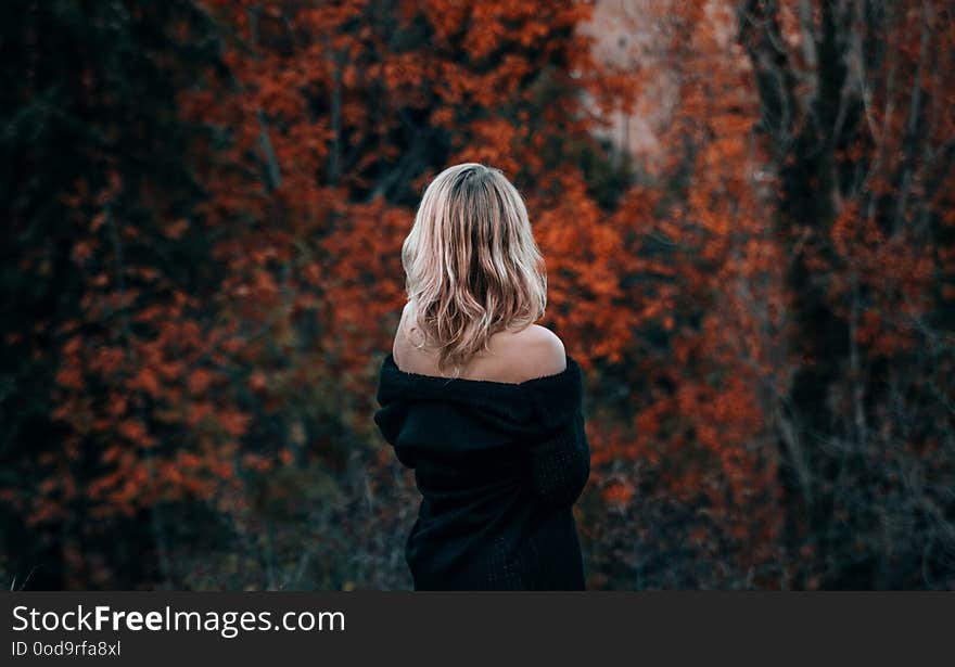 Beatiful blond woman dramatic portrait in the wood in autumn time