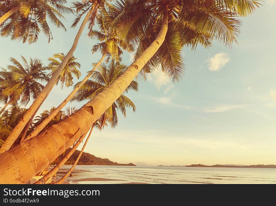 Beautiful tropical Pacific Ocean coast in Costa Rica