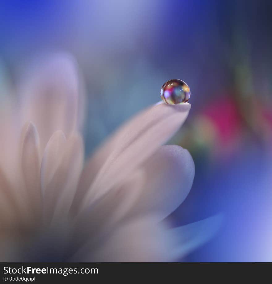 Beautiful spring nature blossom.Beautiful blurred blue nature background,banner for website,garden concept.Colorful,colors.Macro.