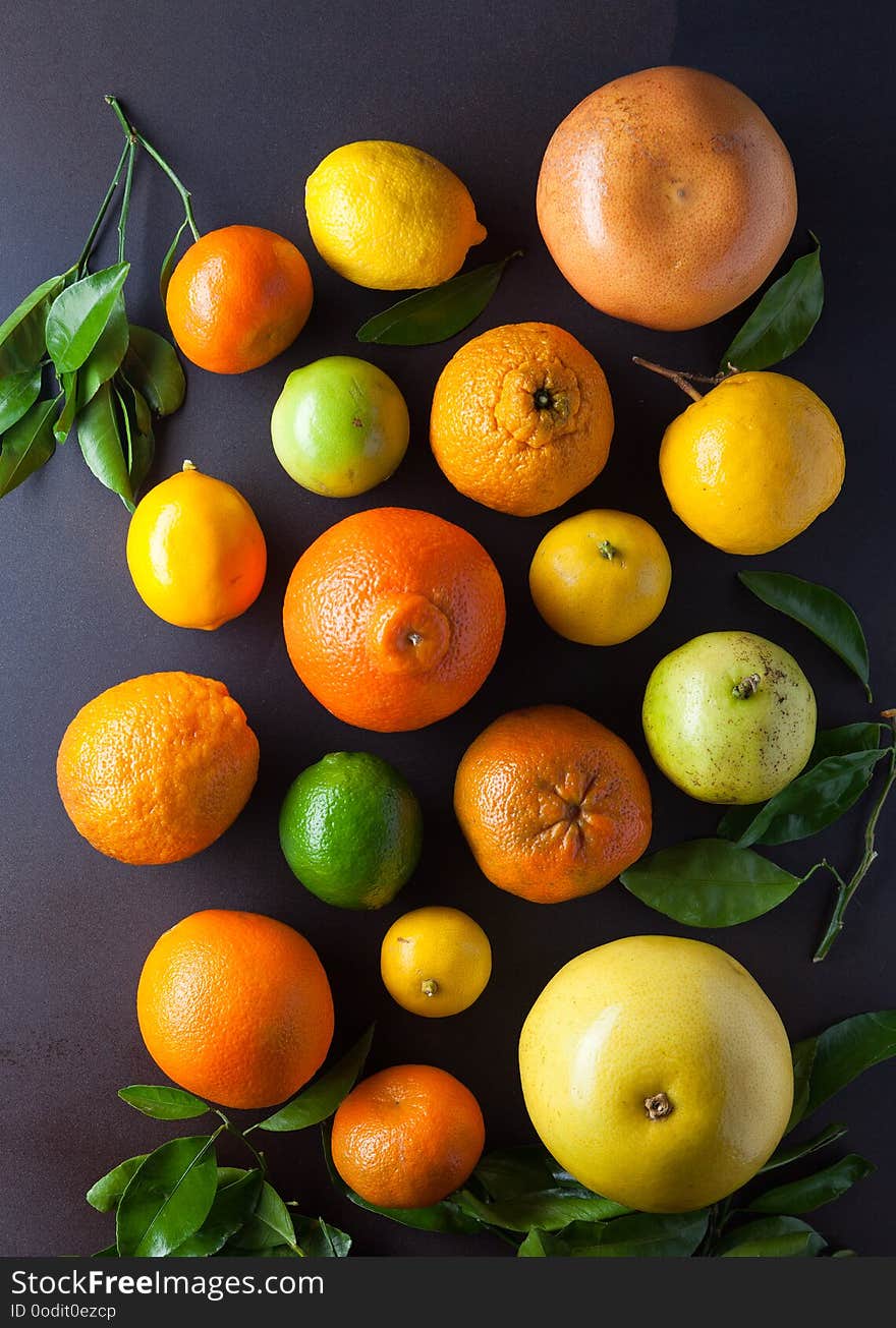 Overhead view of a variety of fresh picked citrus fruits with leaves. Overhead view of a variety of fresh picked citrus fruits with leaves