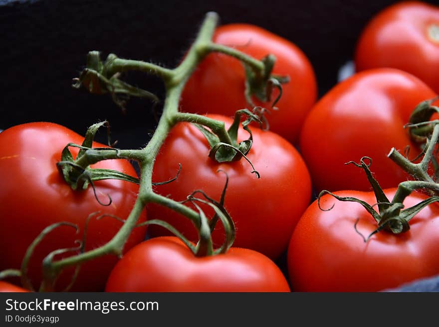 Close-up of tomatoes