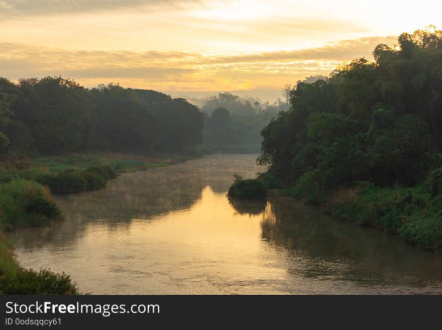 Landscape view of forest river trees with cloudy and sunlight in the morning