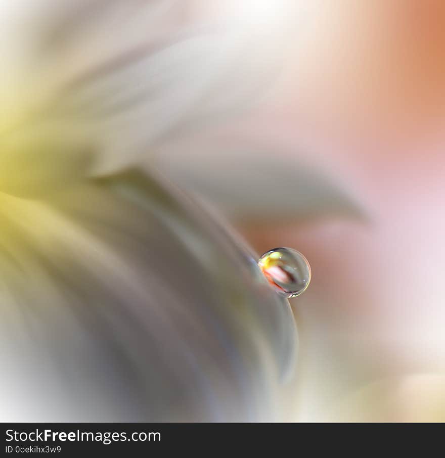 Beautiful spring nature blossom.Beautiful blurred orange nature background,banner ,website,garden concept.Colorful,colors.Macro.