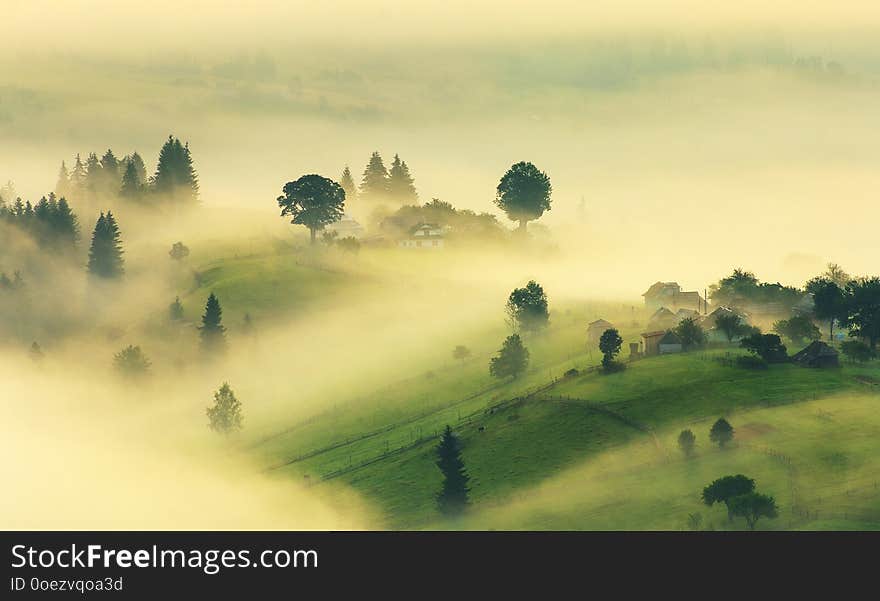 Landscape of summer mountains at sunrise.