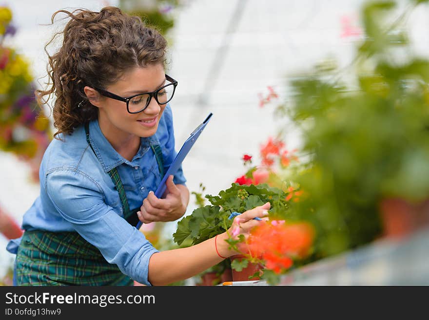 Florists woman working with flowers in a greenhouse. Young woman working in flower garden. Women entrepreneur.