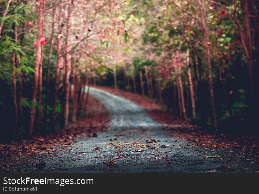 Amazing beautiful place in forest with vintage tone for natural background