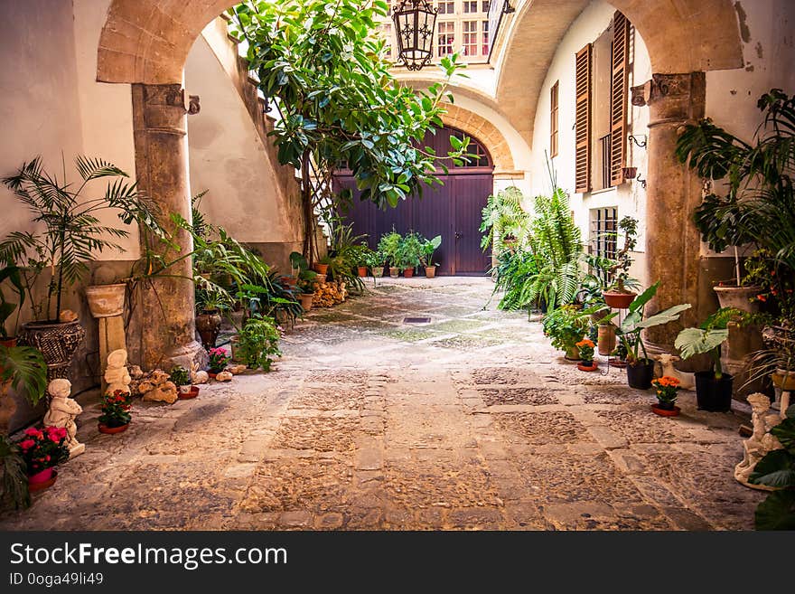 Beautiful arabic gardens in Historic bath. Banys arabs in Palma de Mallorca. Inerior of old bath with ceramic bowls.