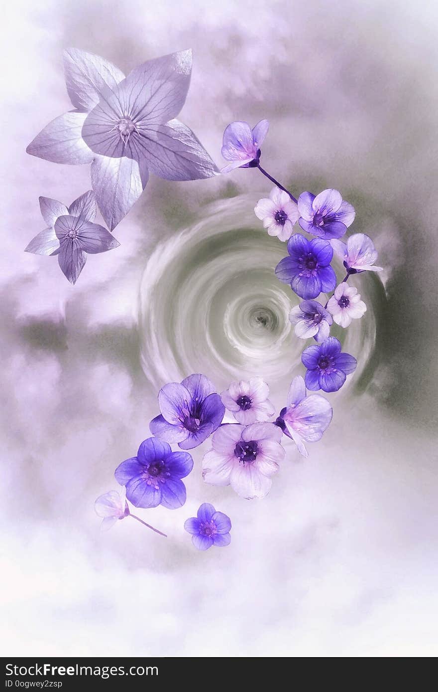 Purple and white flowers in moving background