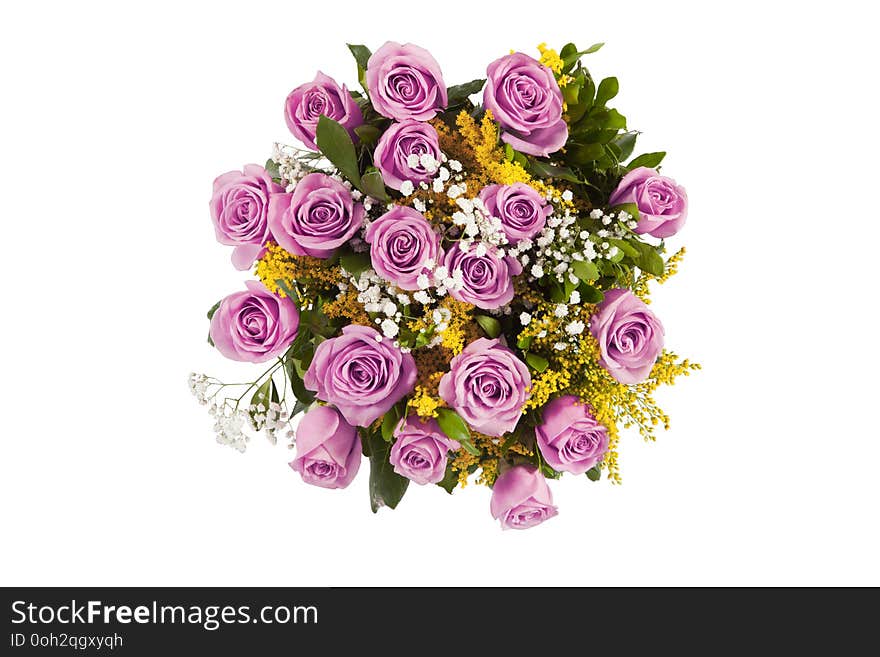 Rose Bouquet Isolated