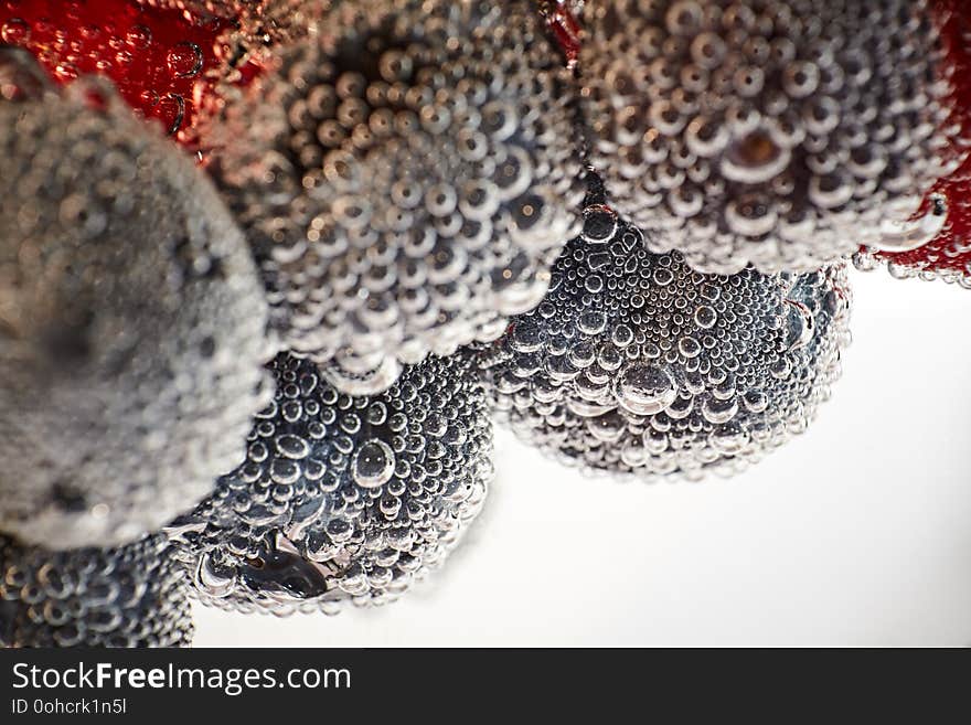 Fresh fruits with bubbles floating in the water on a white background. Fresh fruits with bubbles floating in the water on a white background