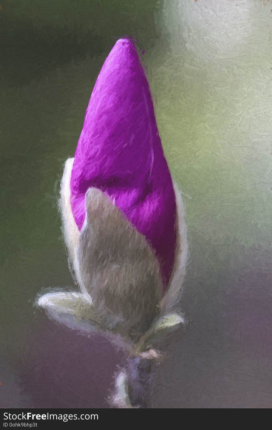 Purple Pink Saucer Magnolia Bud Digitally Painted