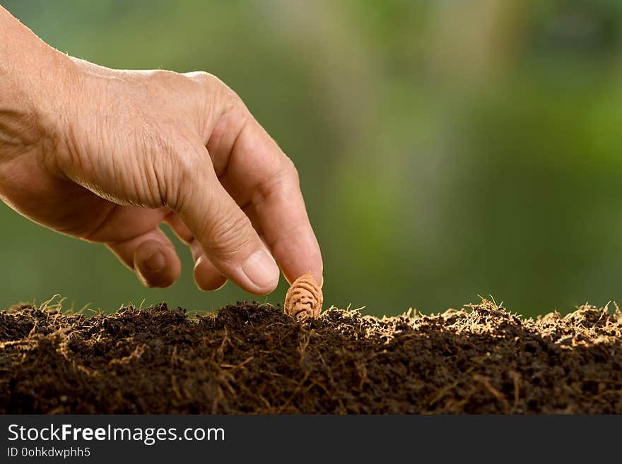 Hand of human planting seeds in soil