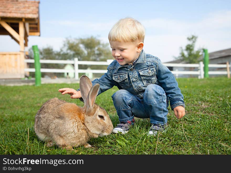 Little boy is happy to meet a rabbit on the farm