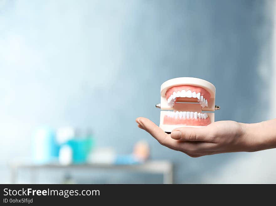 Dentist holding educational model of oral cavity with teeth in clinic, closeup.