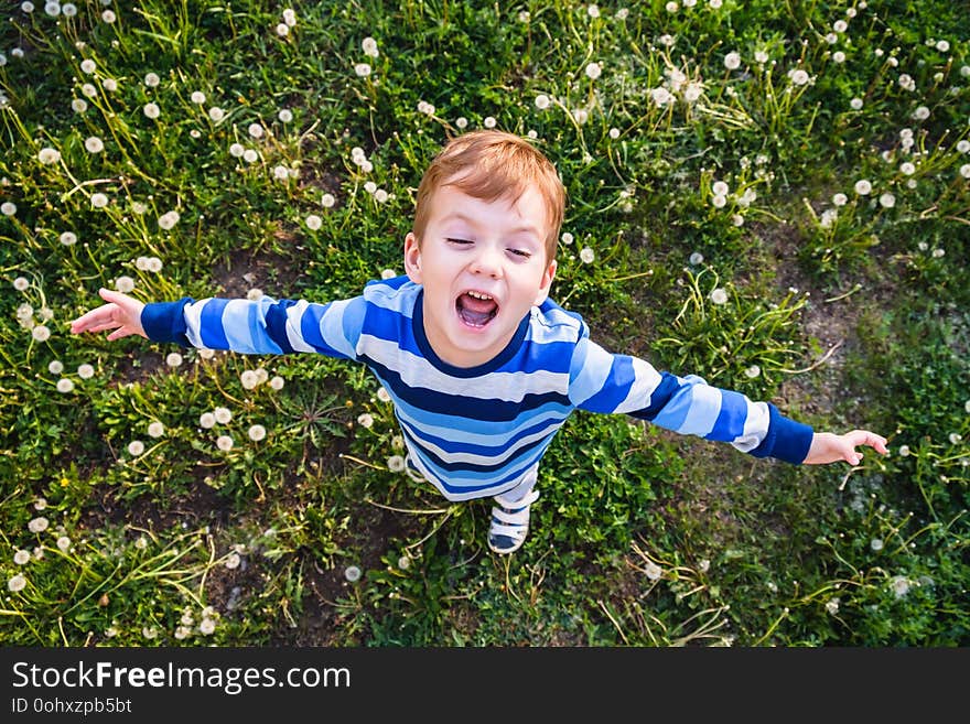 Child field grass boy childhood dandelion fun. white. Child field grass boy childhood dandelion fun. white