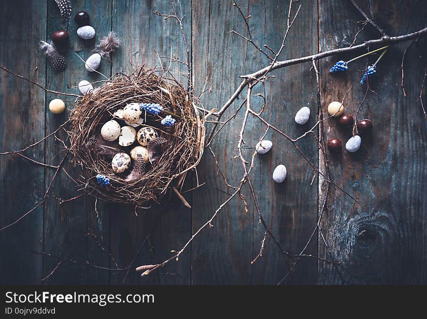 Happy Easter Background with Chocolate, Bird Nest on Tree Branch on wooden background