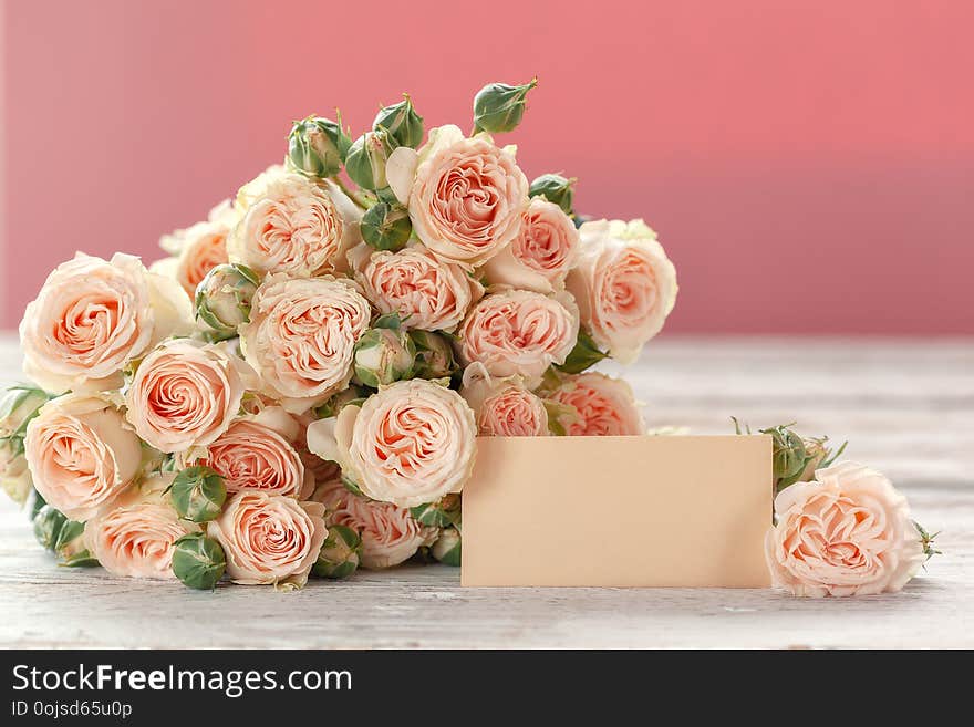 Pink roses flowers with ag for text on pink background. Mothers Day, Birthday, Valentines Day, Womens Day concept