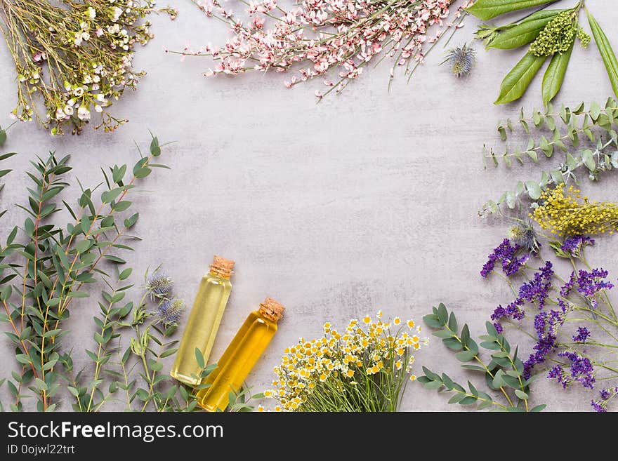 Spa cosmetic products concept, spa background with a space for a text, flat lay, view from above. Spa cosmetic products concept, spa background with a space for a text, flat lay, view from above