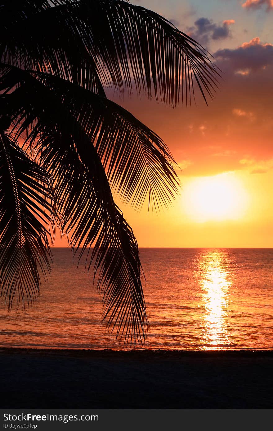 Beautiful sunset on the beach, sun goes down to the sea, woman silhouette on the bayshore. Calm ambient, rest and relaxation conce