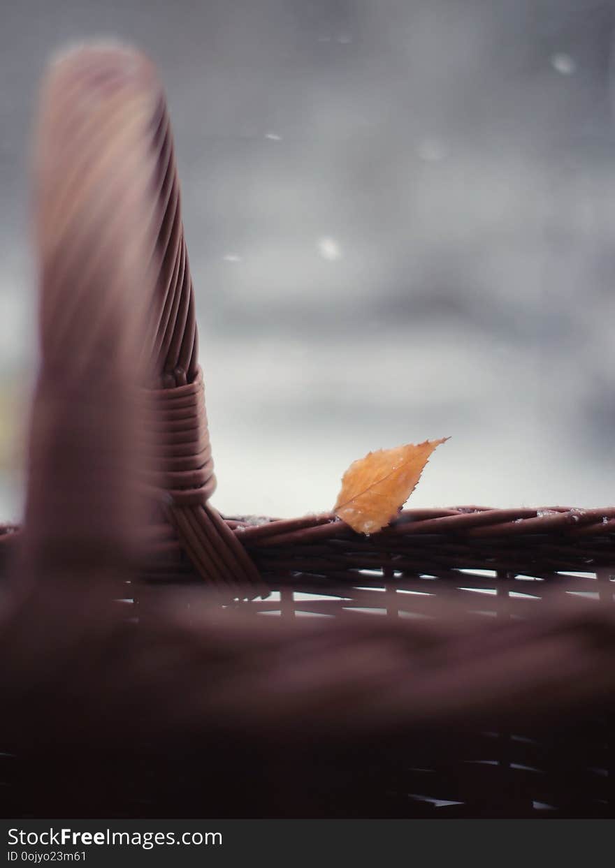 Small leaf on wicker basket