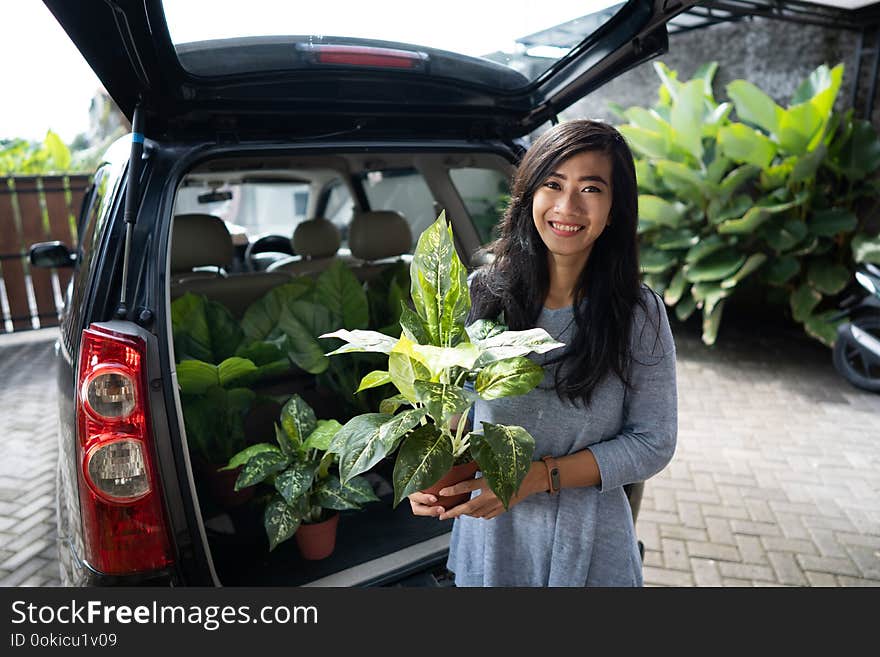 Buying a new plant for the garden. attractive young woman holding a tree that she bought from the shop. plant in the car trunk