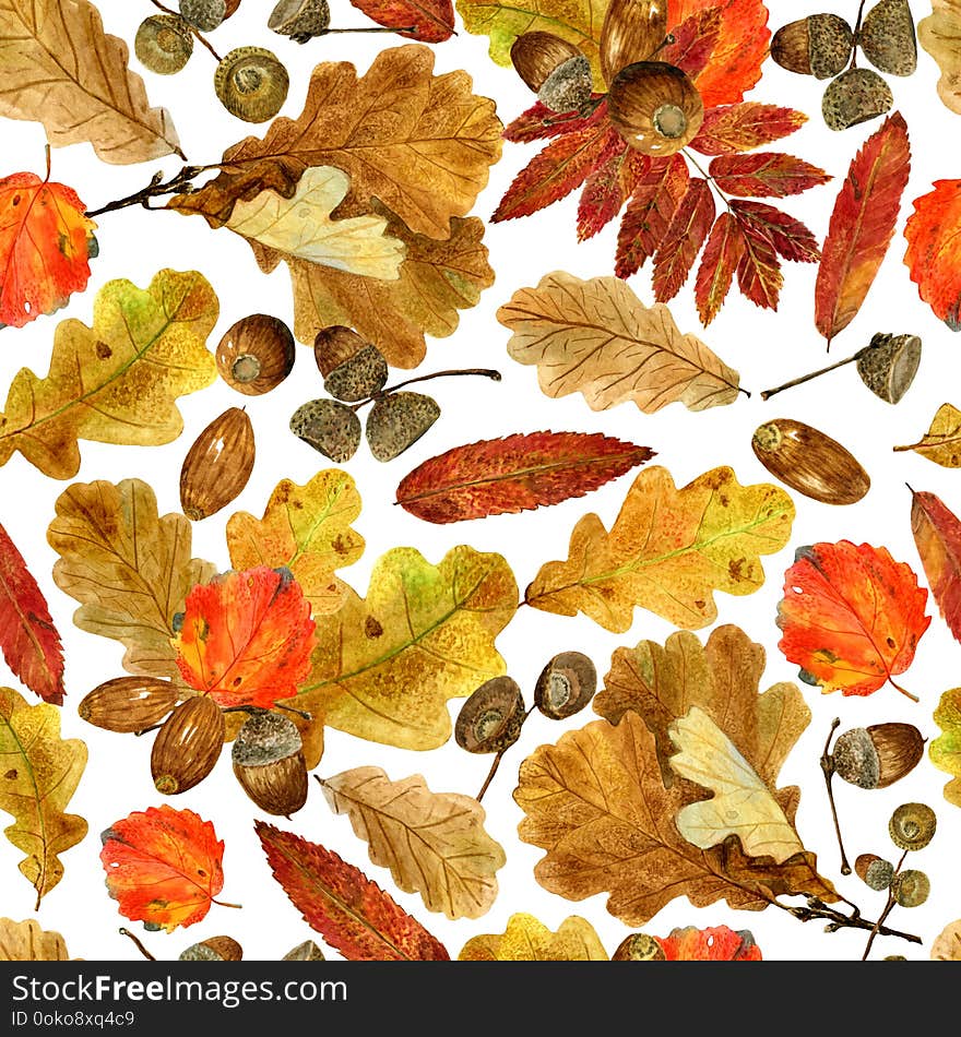 Seamless texture of watercolor fall oak, rowan, aspen leaves and acorns. Bright autumn print with natural elements. Pattern of decorative hand drawn ornament for wrapping, holiday`s design or invitation cards on white background