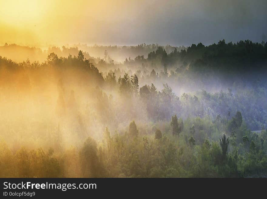 The Beauty Of The Morning On The River Snake, In A Pollution Free Mountainous Area In The Forest