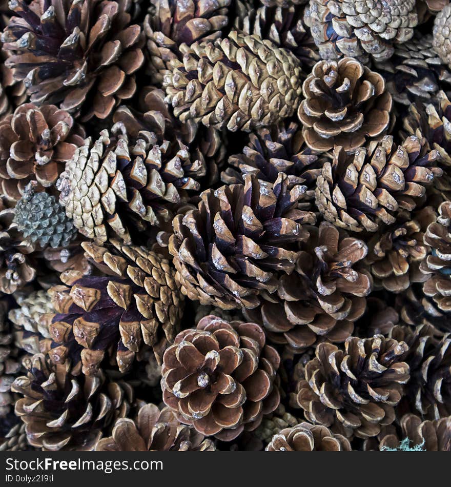 Pine cones in a wicker basket for sale, used as decoration